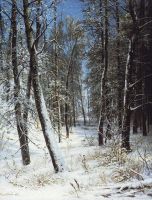 Зима в лесу (Иней).