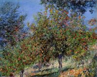 Яблони на холме Шантемесле