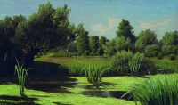 Пейзаж. Камыши на реке. 1880–1890-е