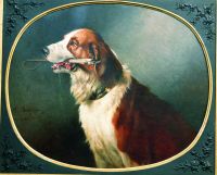 Собака. 1881