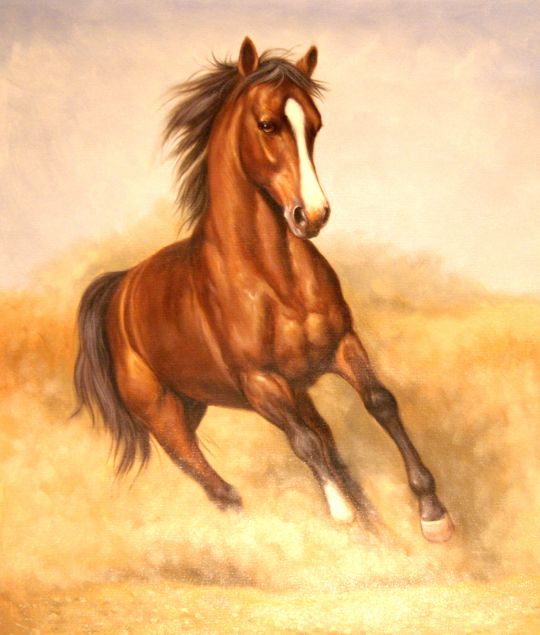 Конь. худ.Т.Бруно