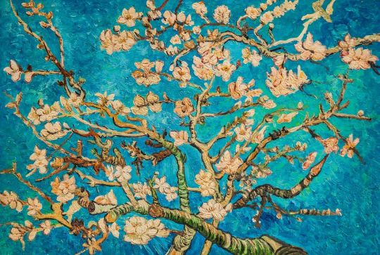     Branches with Almond Blossom, 1885