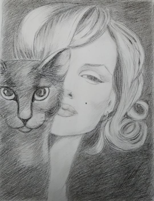 "Мэрилин и кошка"
