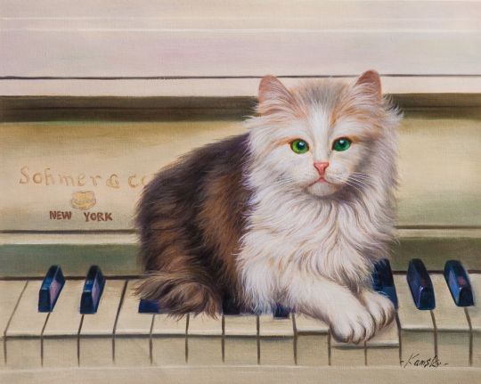 Котёнок-пианист