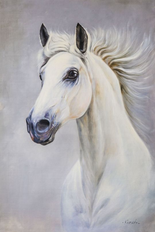 Портрет белой лошади N2