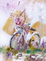 Spring bicycle for you