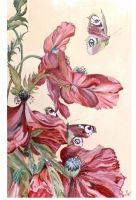 Красивая картина лето маки бабочки в стиле шебби розовый светлый кремовый