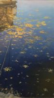 листья на воде