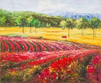 Цветущие поля Прованса