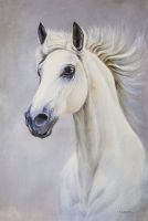 Портрет белой лошади N2