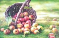 Яблочный натюрморт